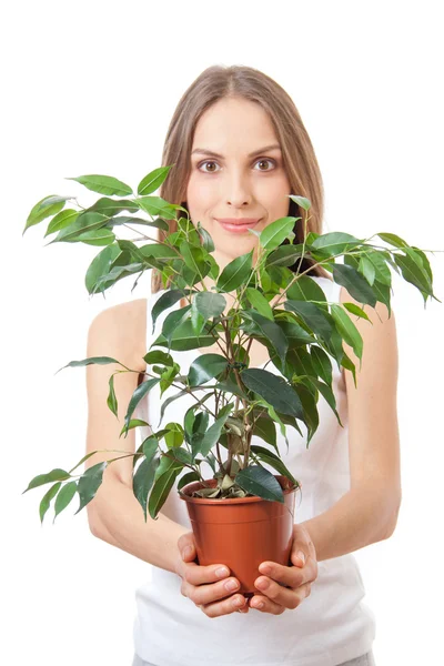 Jeune femme tenant une plante d'intérieur, isolatère sur blanc — Photo