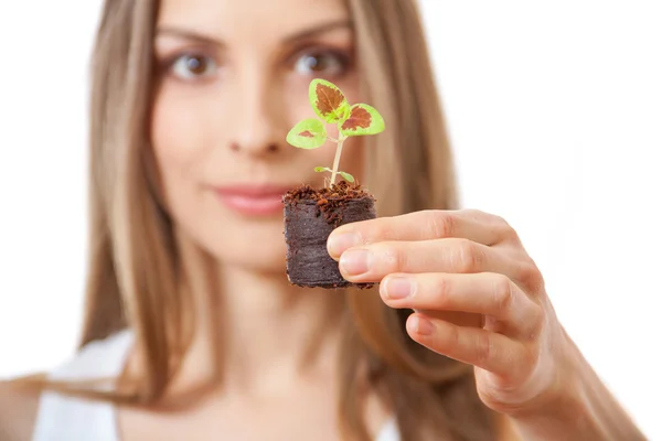 Mujer joven sosteniendo planta, brote de coleus — Foto de Stock