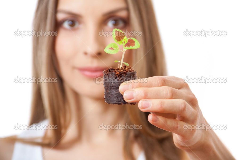 Young woman holding plant,  coleus sprout