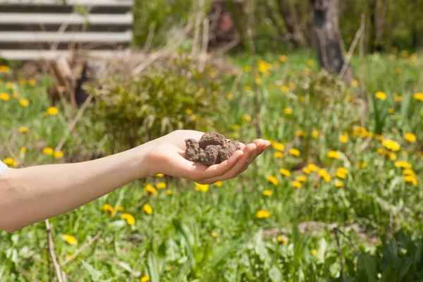 Dry soil in hand — Stock Photo, Image