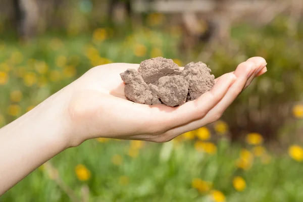 Dry soil in hand — Stock Photo, Image