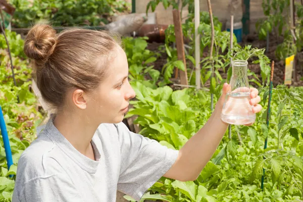 Ricercatore che verifica la qualità dell'acqua — Foto Stock