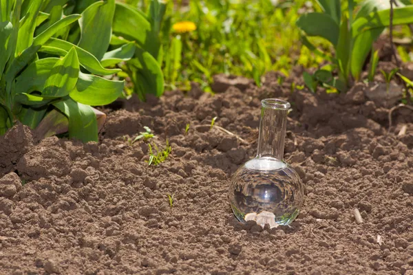 Bulb with clear water on dry soil — Stock Photo, Image