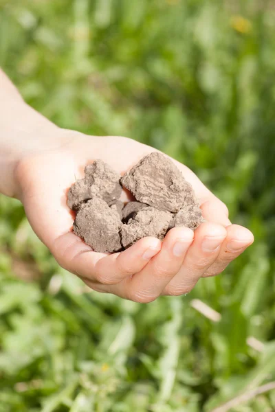 Tierra seca en la mano — Foto de Stock