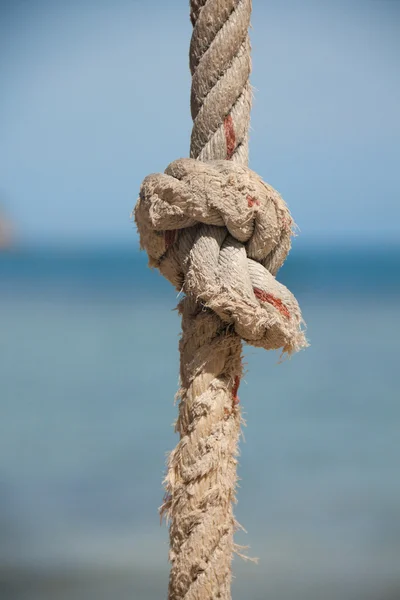 Nó na corda e no mar — Fotografia de Stock