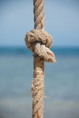 Halat ve deniz düğüm