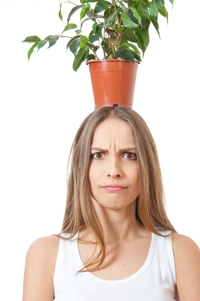 Donna tenere pianta d'appartamento isolato su bianco . — Foto Stock