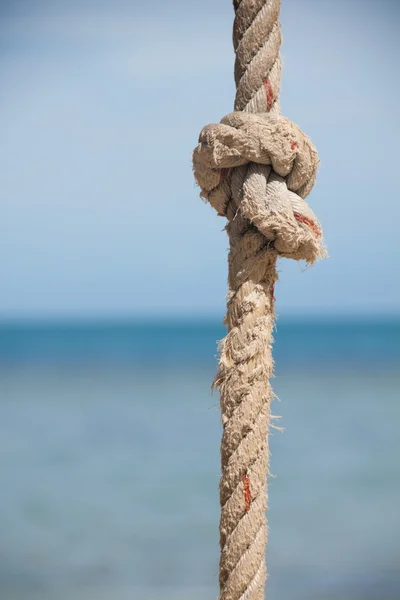 Noeud sur la corde et la mer — Photo