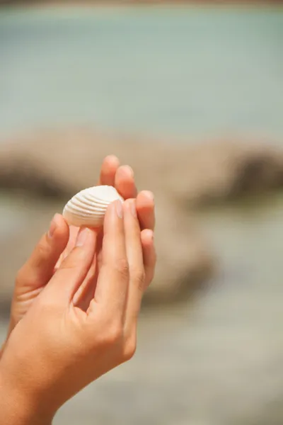 Sea shell in hand — Stock Photo, Image