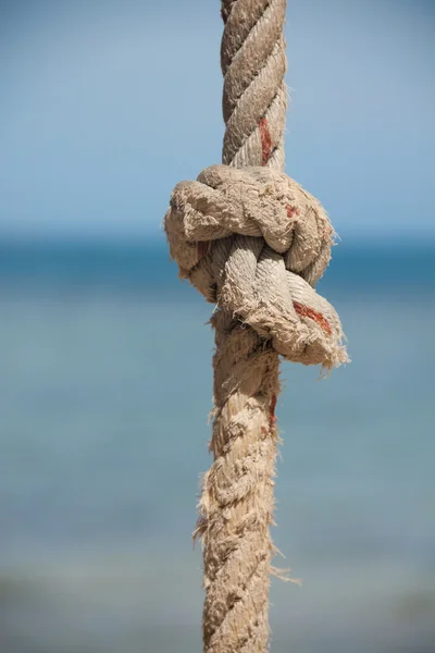 Nó na corda e no mar — Fotografia de Stock
