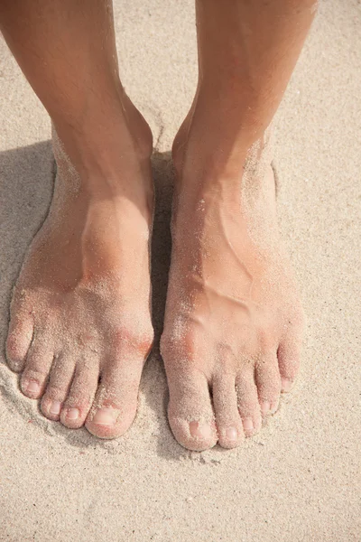 Womens feet in the sand — Stock Photo, Image