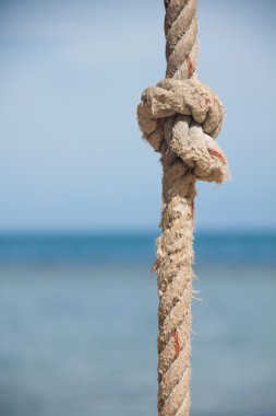 Halat ve deniz düğüm
