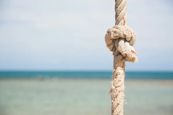 Nó na corda e no mar — Fotografia de Stock