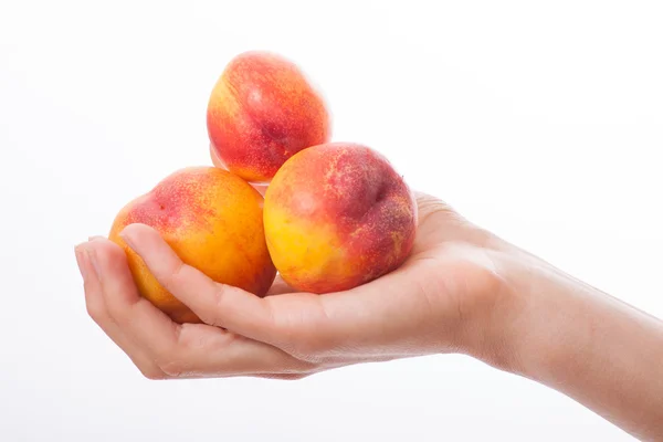 Pfirsiche in der Hand, isoliert auf weiß — Stockfoto