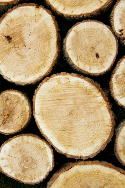 Stacked Logs, Natural Background — Stock Photo, Image