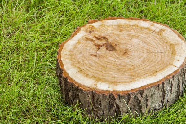 Árbol tocón en la hierba — Foto de Stock