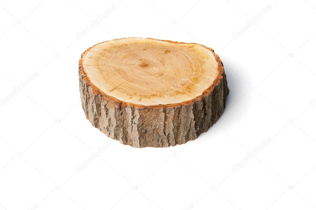 Tree stump on white background