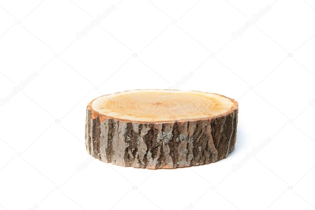 Tree stump on white background