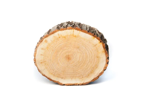 Tree stump on white background — Stock Photo, Image