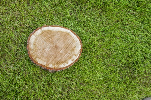 トップ ビューの芝生の上の木の切り株 — ストック写真
