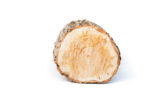 白い背景の上の木の切り株 — ストック写真