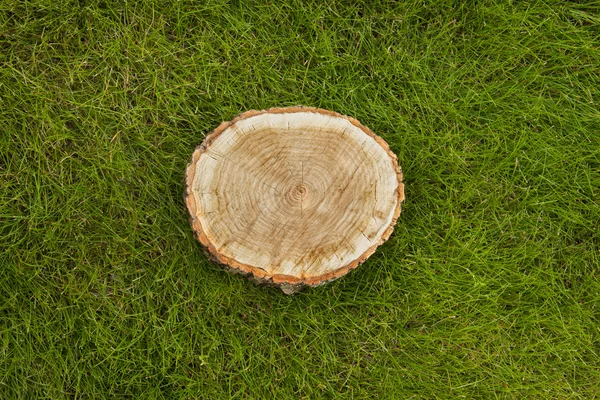 Tronco d'albero sull'erba, vista dall'alto — Foto Stock