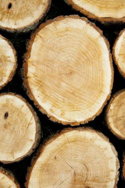 Stacked Logs, Natural Background — Stock Photo, Image