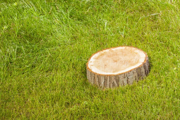 Tree stump on the grass — Stock Photo, Image