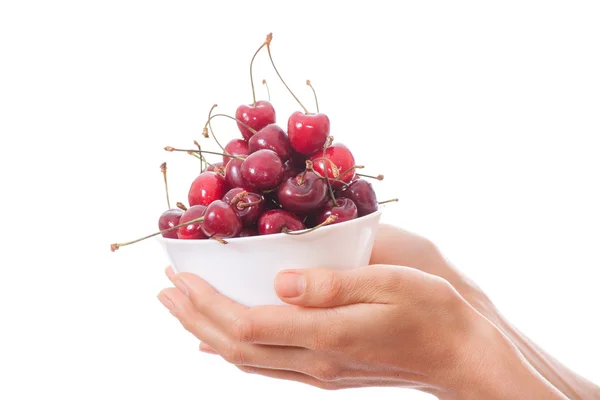 Чаша вишни в женских руках — стоковое фото