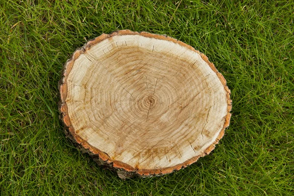 Tree stump on the grass, top view — Stock Photo, Image