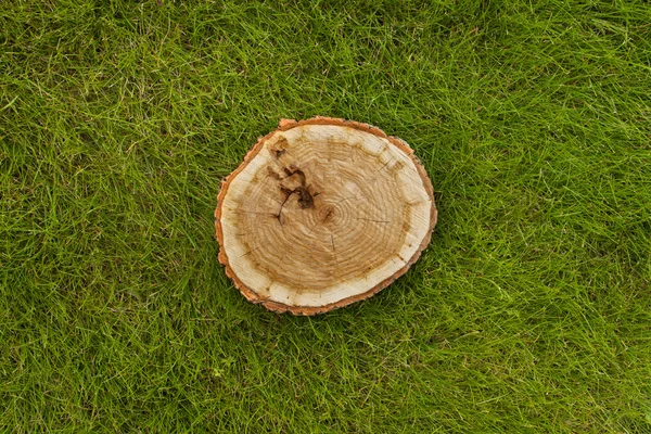 Souche d'arbre sur l'herbe, vue de dessus — Photo