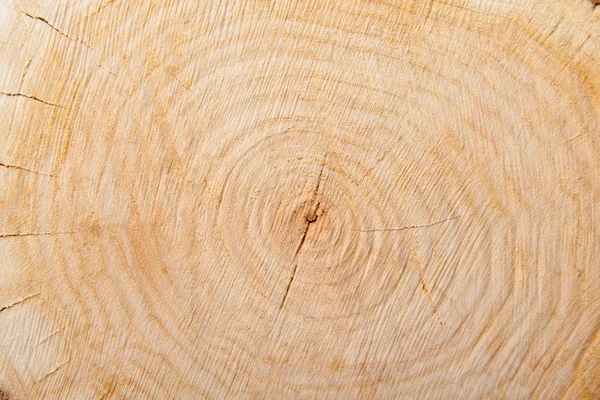 Крупним планом дерев'яна різьба текстури — стокове фото