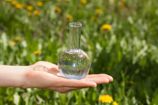 Flask with clear water  and green plants — Stock Photo, Image