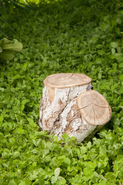 Tronco d'albero sull'erba — Foto Stock