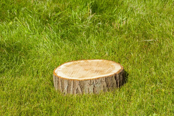 Árbol tocón en la hierba —  Fotos de Stock