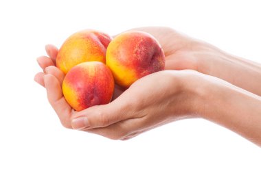 elinde, üzerinde beyaz izole şeftali