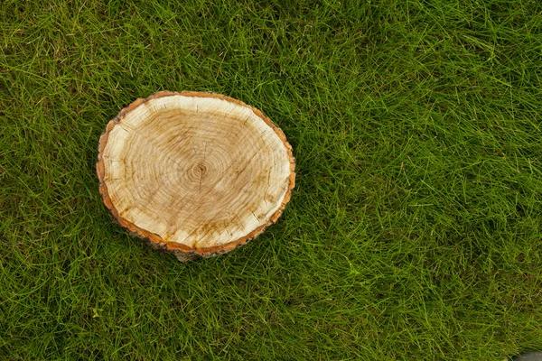 Tronco d'albero sull'erba, vista dall'alto — Foto Stock