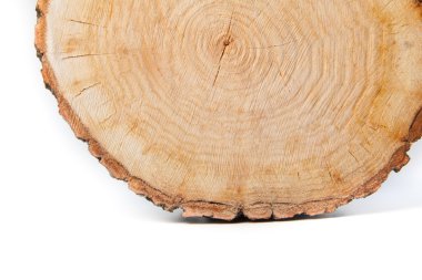 yakın çekim ahşap kesim dokusu