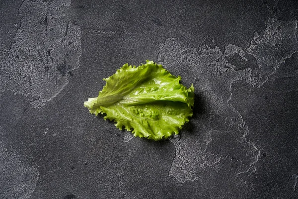 Hoja de lechuga verde fresca sobre superficie de hormigón oscuro. — Foto de Stock