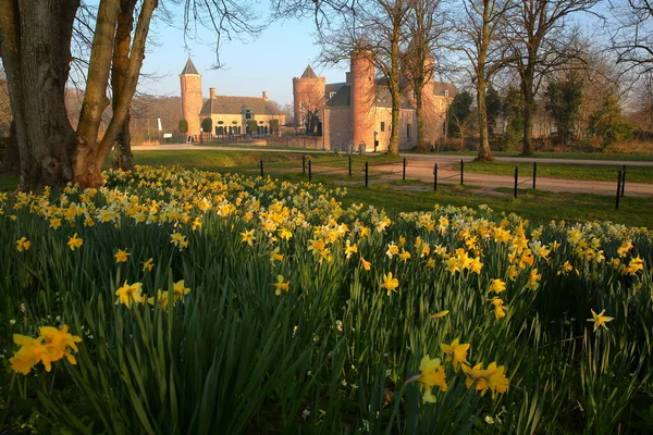 Westhove Castle Located Nature Reserve Manteling Domburg Zeeland Netherlands — Stock Photo, Image