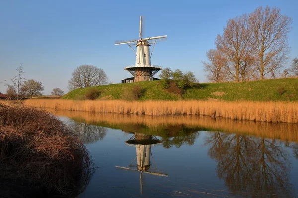 Reflet Moulin Vent Traditionnel Dans Campagne Colorée Entourant Veere Zeeland — Photo