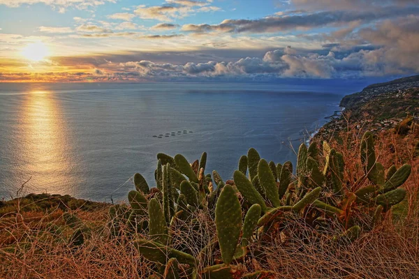 Південне Узбережжя Заході Сонця Навколо Кальхети Острові Мадейра Португалія — стокове фото