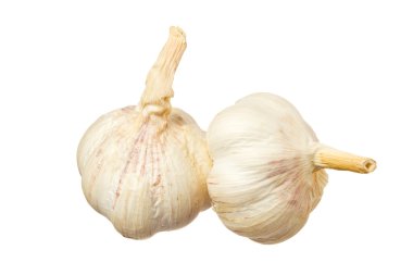 sarımsak