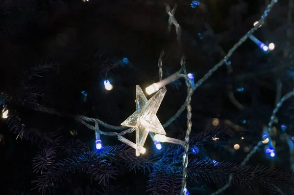Luces Blancas Árbol Navidad Decoración Forma Estrella Nochebuena Brillante Noche — Foto de Stock