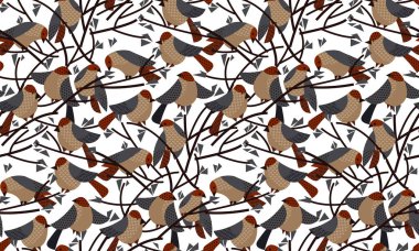 Komik dekoratif serçe, arka plan, kumaş, tekstil, ambalaj, yüzey, ağ ve iz tasarımı için kuşlar kusursuz desen. Tekstil vektör motifi. 