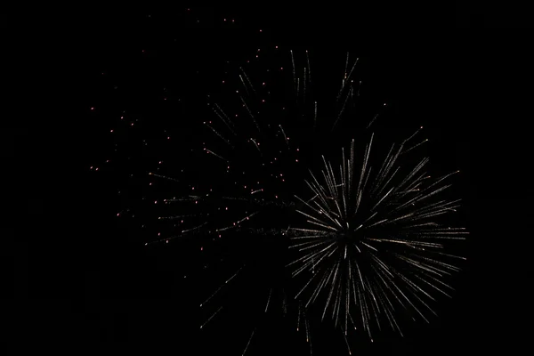 Firework — Stock Photo, Image