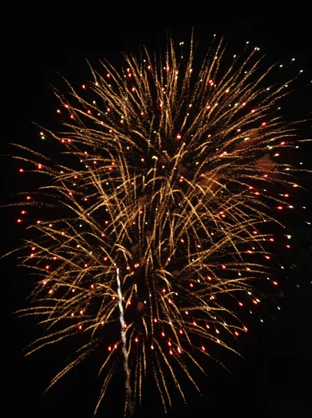 Firework — Stock Photo, Image