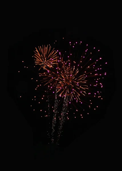 Firework — Stock Photo, Image