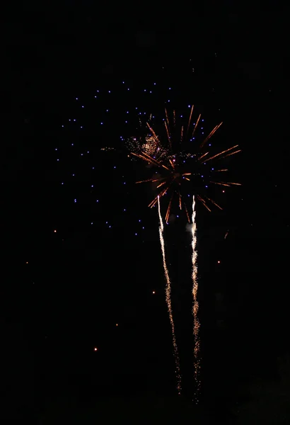 Firework — Stock Photo, Image