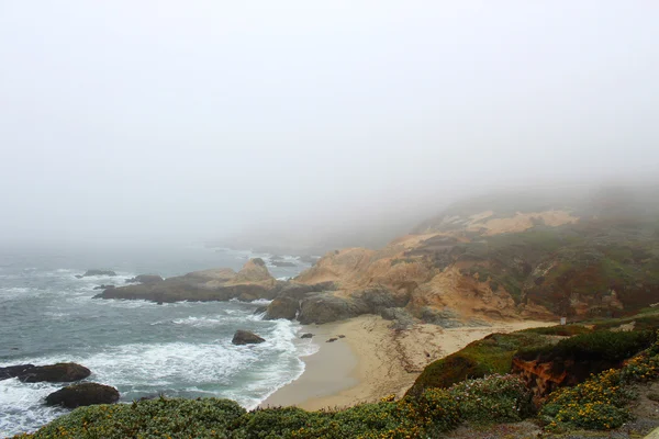 Foggy costa oceânica — Fotografia de Stock